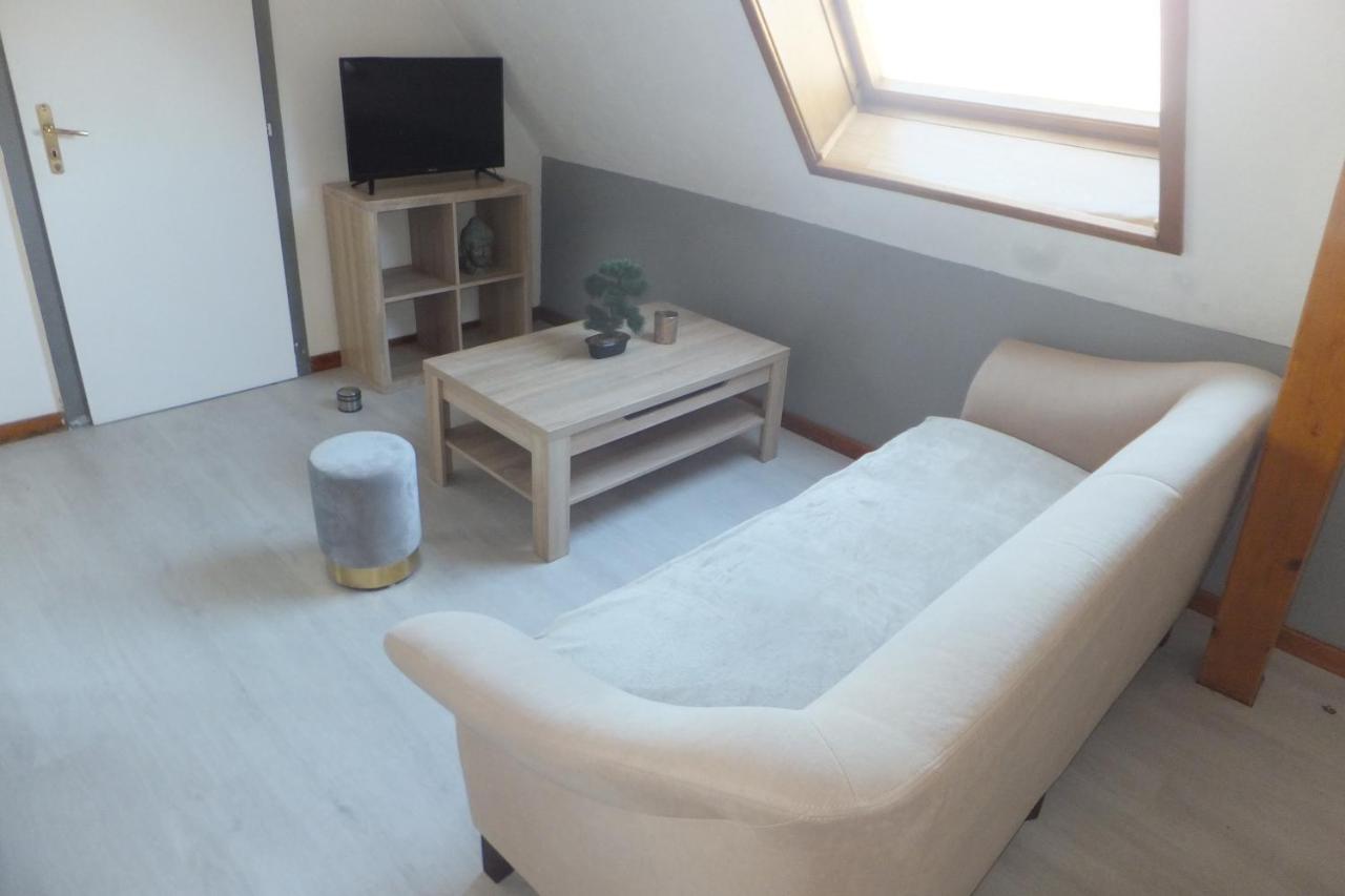 Superbe Appartement En Residence Betschdorf Exteriér fotografie